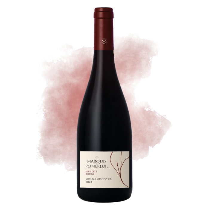 Coteaux Champenois Rouge