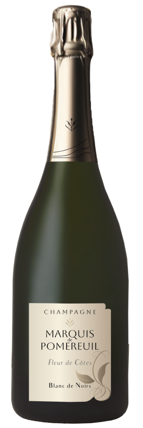 Reflet Brut